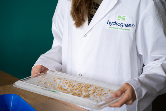 Plant Science at HydroGreen (1)