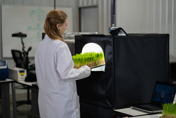 Plant Science at HydroGreen (2)